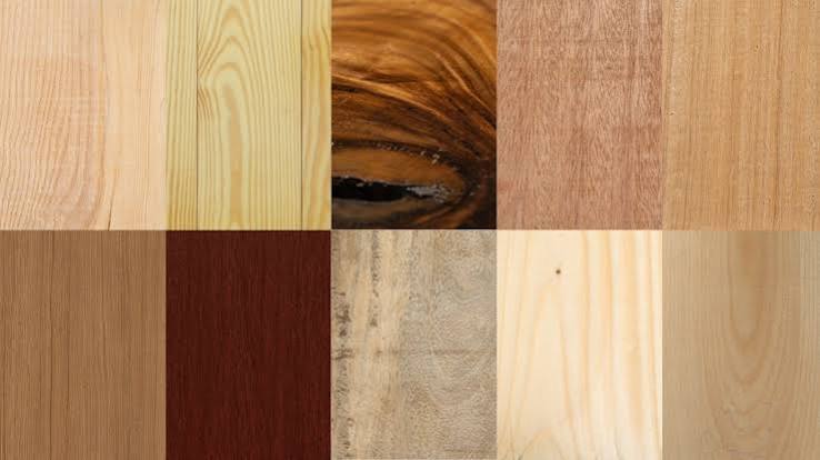 Choosing the Right Wood Type for Your Furniture: A Complete Guide