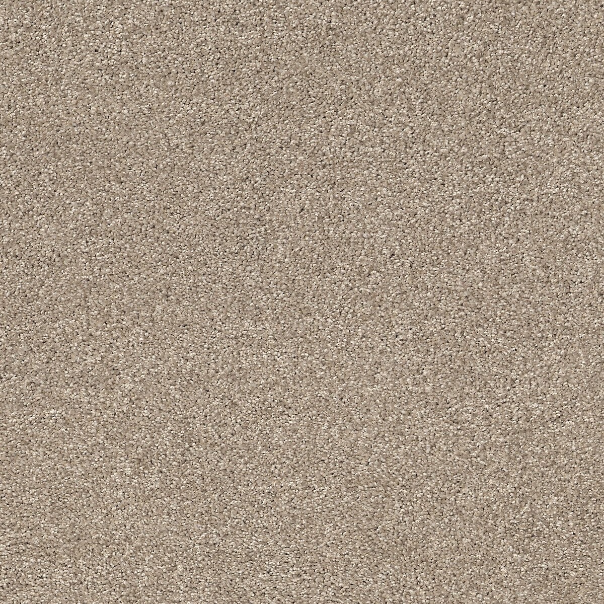 Beige Boucle